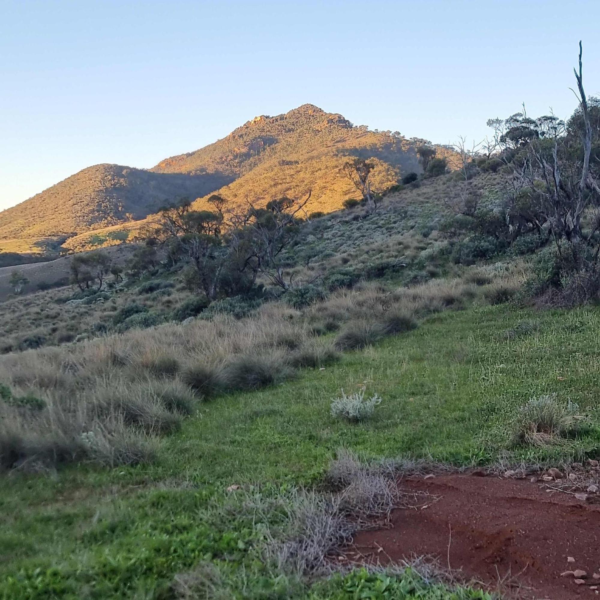 Pichi Richi Park Villa Quorn Dış mekan fotoğraf